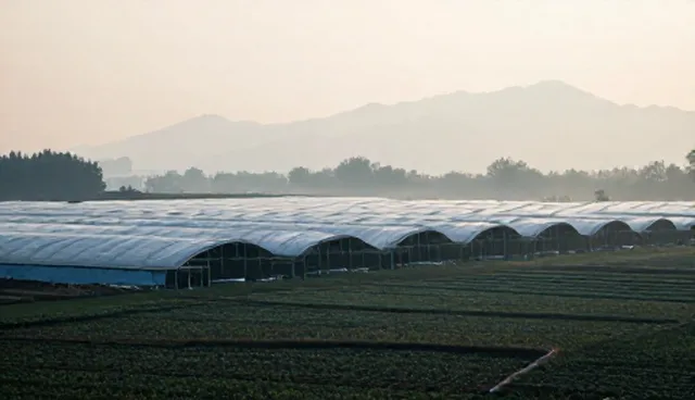 基础信息查询服务性能影响因素分析