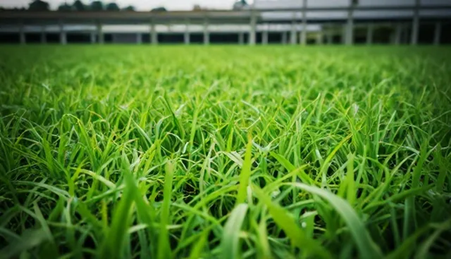 数据采集中的常见问题及检查要点解析